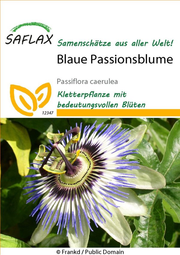 Saflax Blaue Passionsblume (MHD 04.2024) Räumungsverkauf