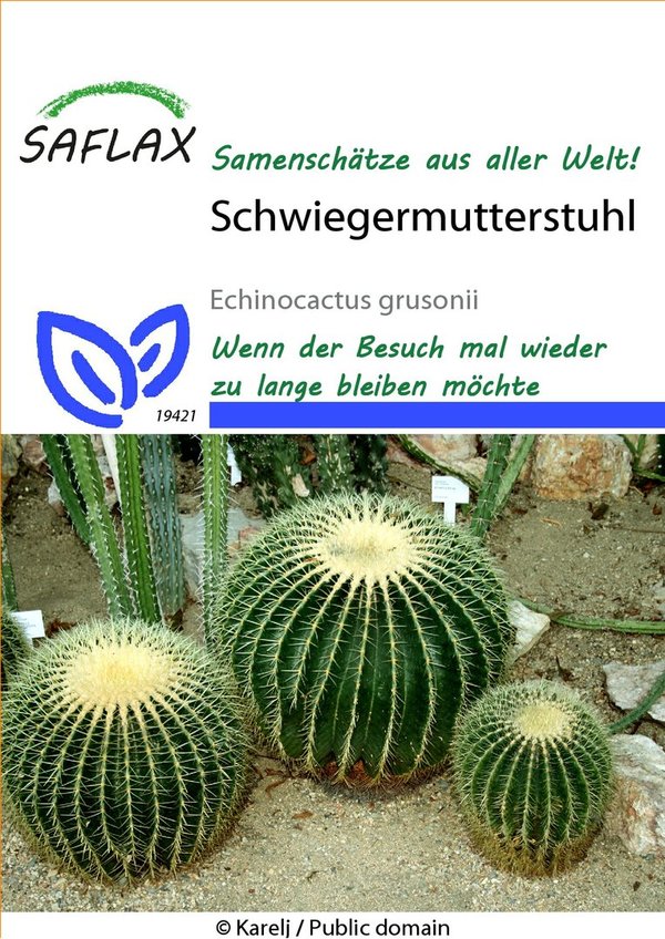 Saflax Schwiegermutterstuhl (07.2024) Räumungsverkauf